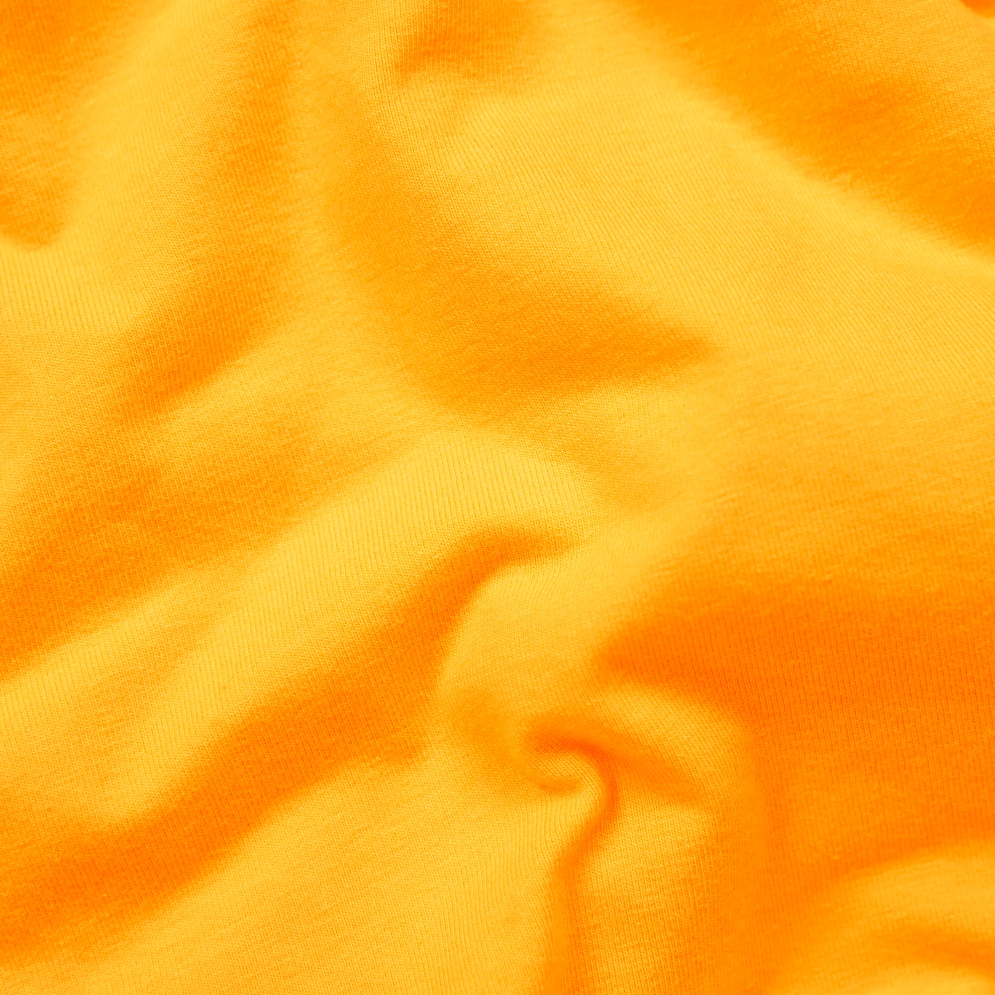 Apricots - Ladies Thong - Image 4