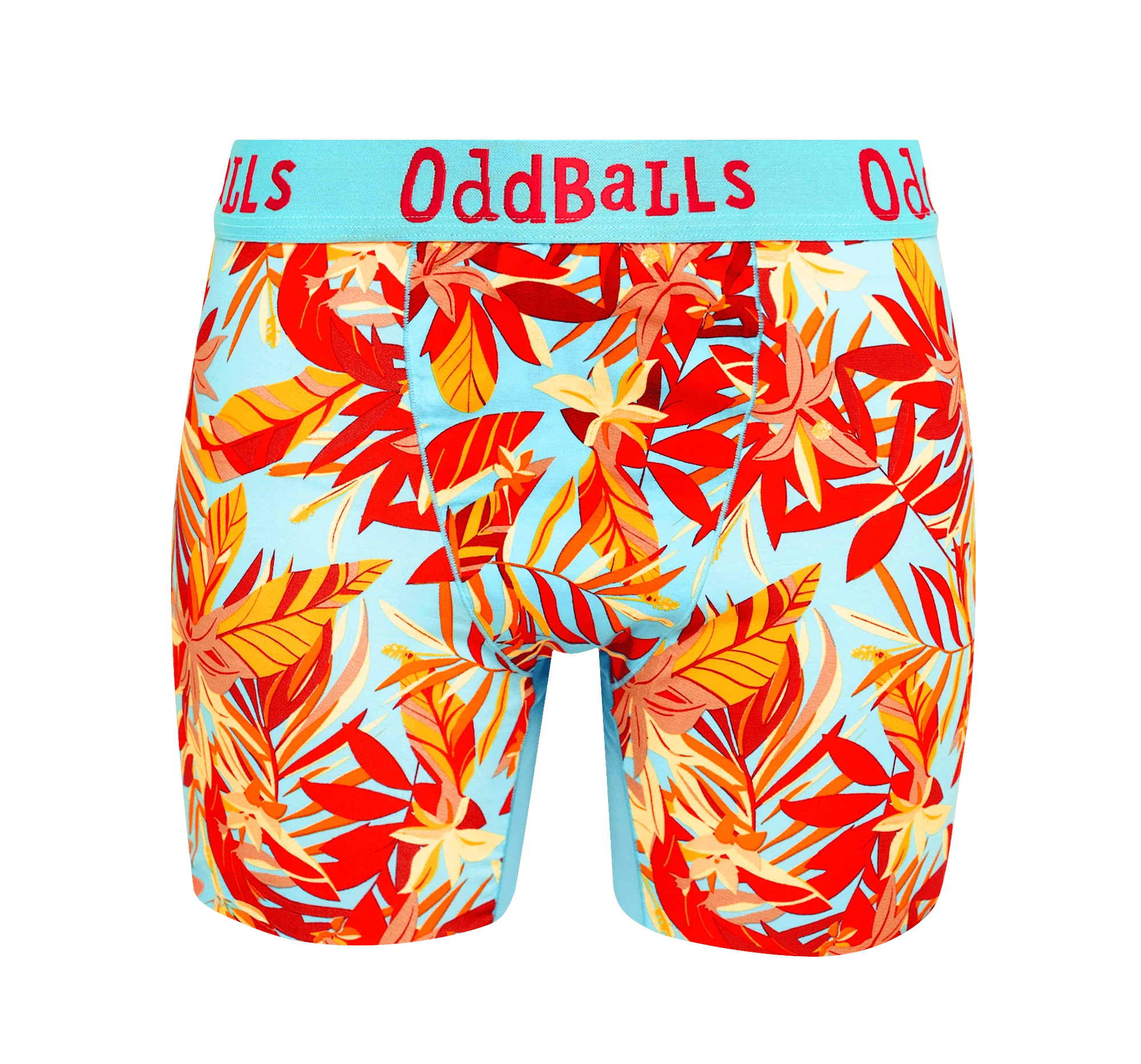Bargain Bums Bundle - Ladies Bamboo Boxer Shorts 5 Pack - Image 9