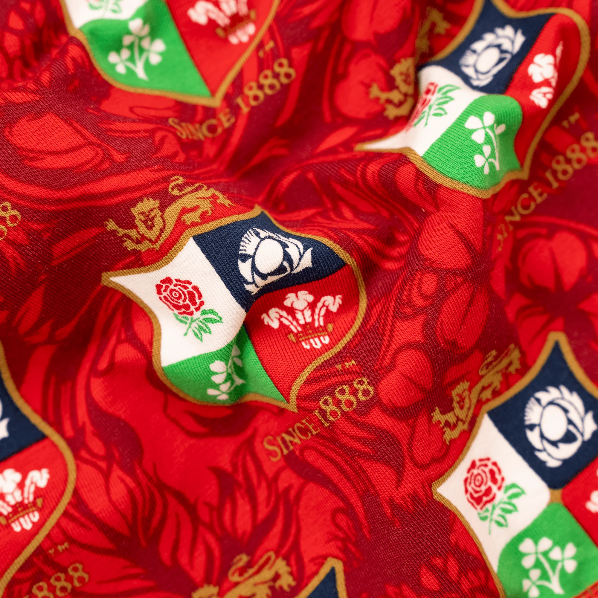 British & Irish Lions Australia - Ladies Bralette - Image 4