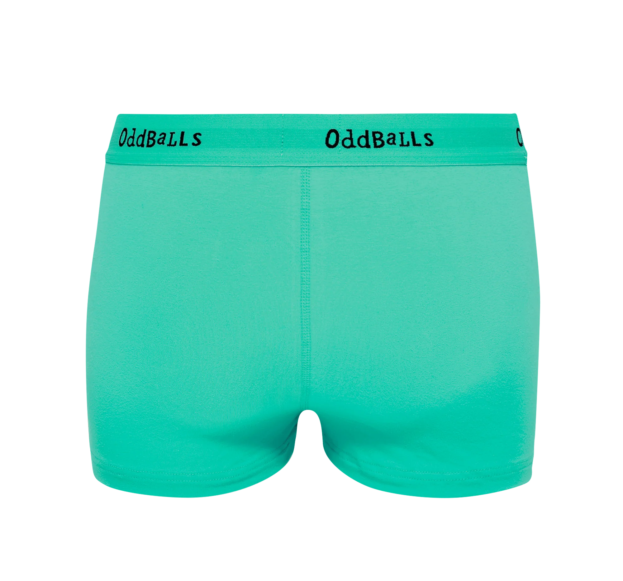 Cactus - Ladies Boxers - Image 2