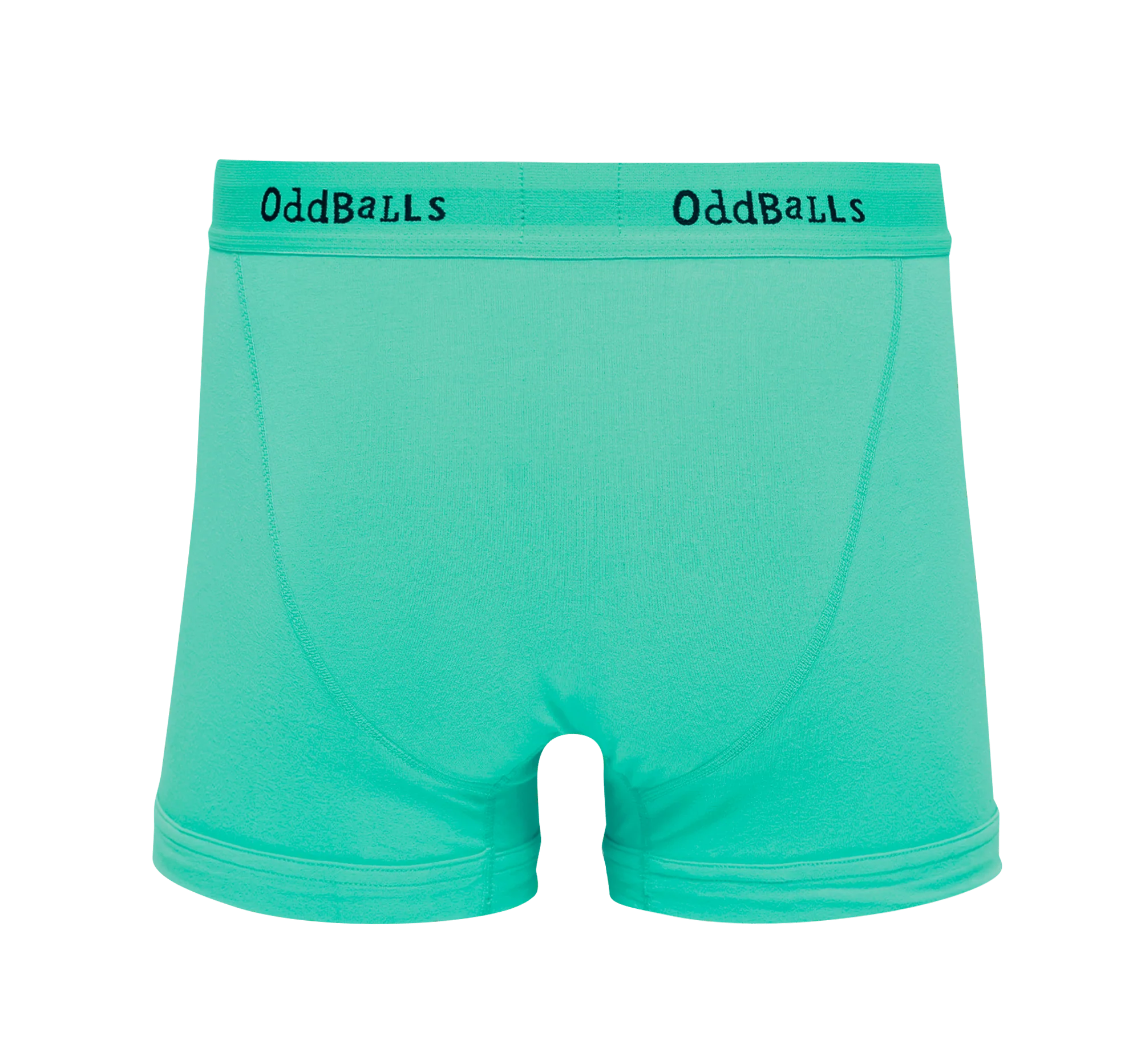 Cactus - Mens Cotton Boxer Shorts - Image 2