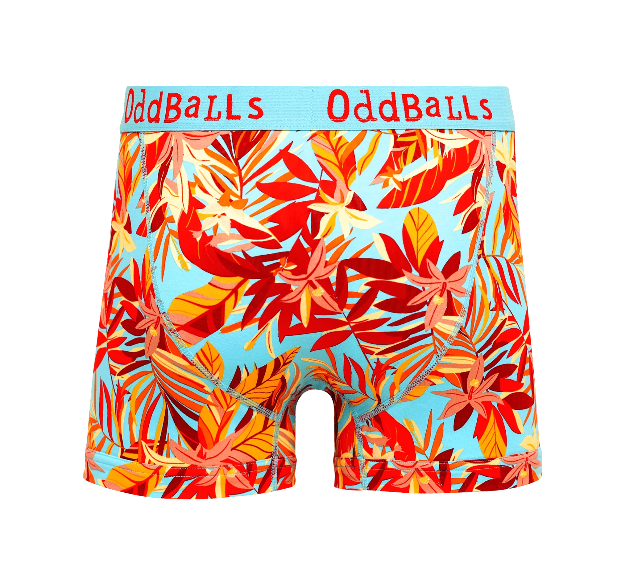 Calypso - Mens Cotton Boxer Shorts - Image 2