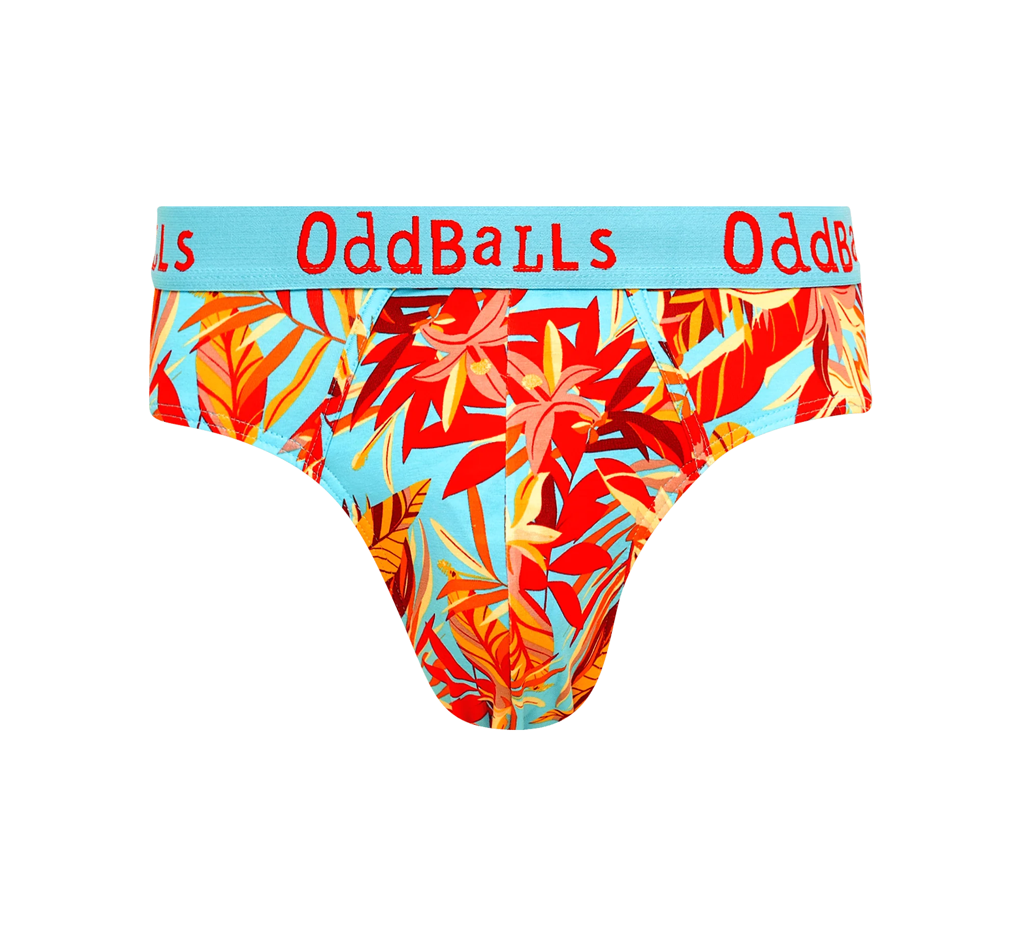 Calypso - Mens Briefs