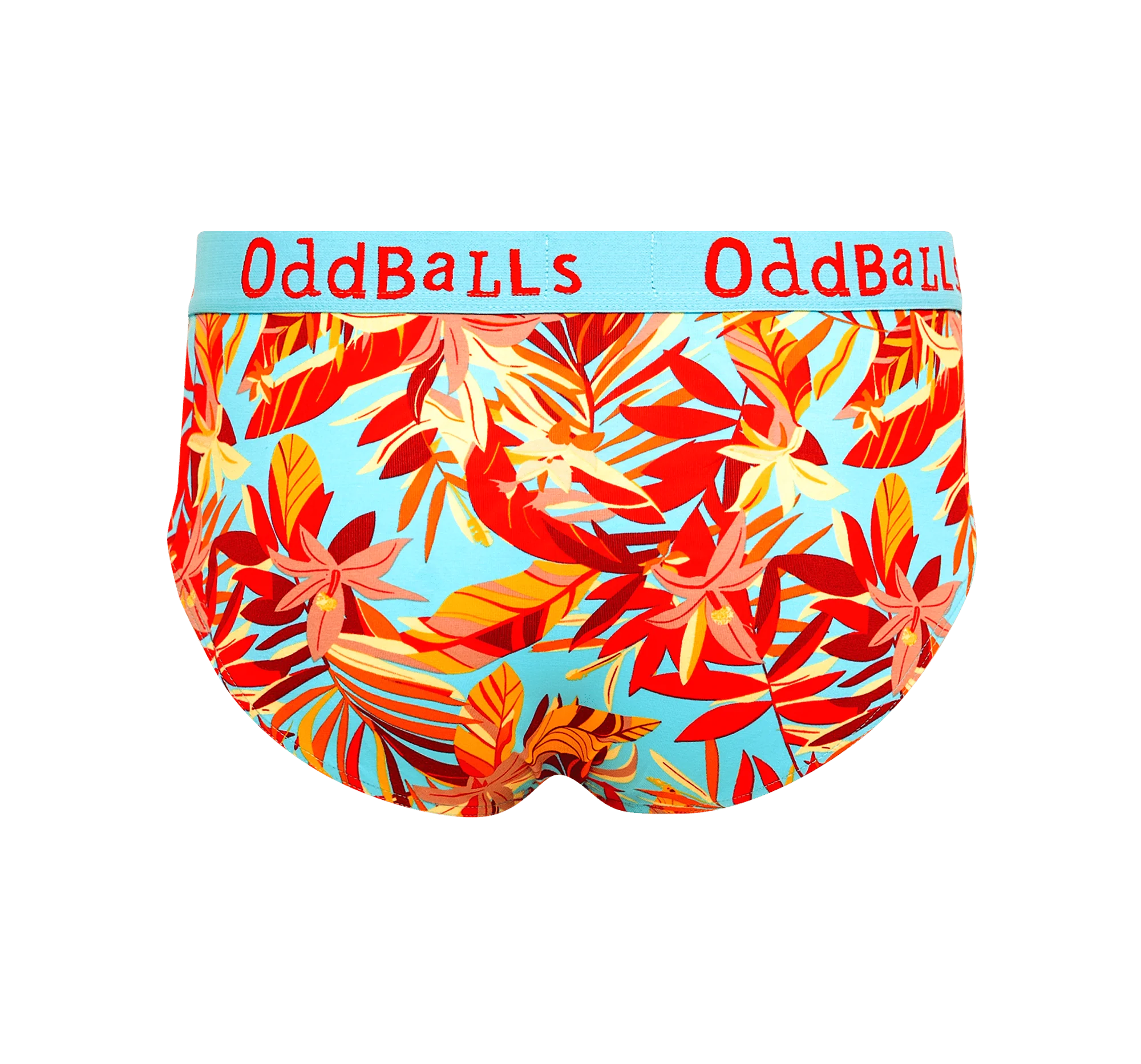Calypso - Mens Briefs - Image 2
