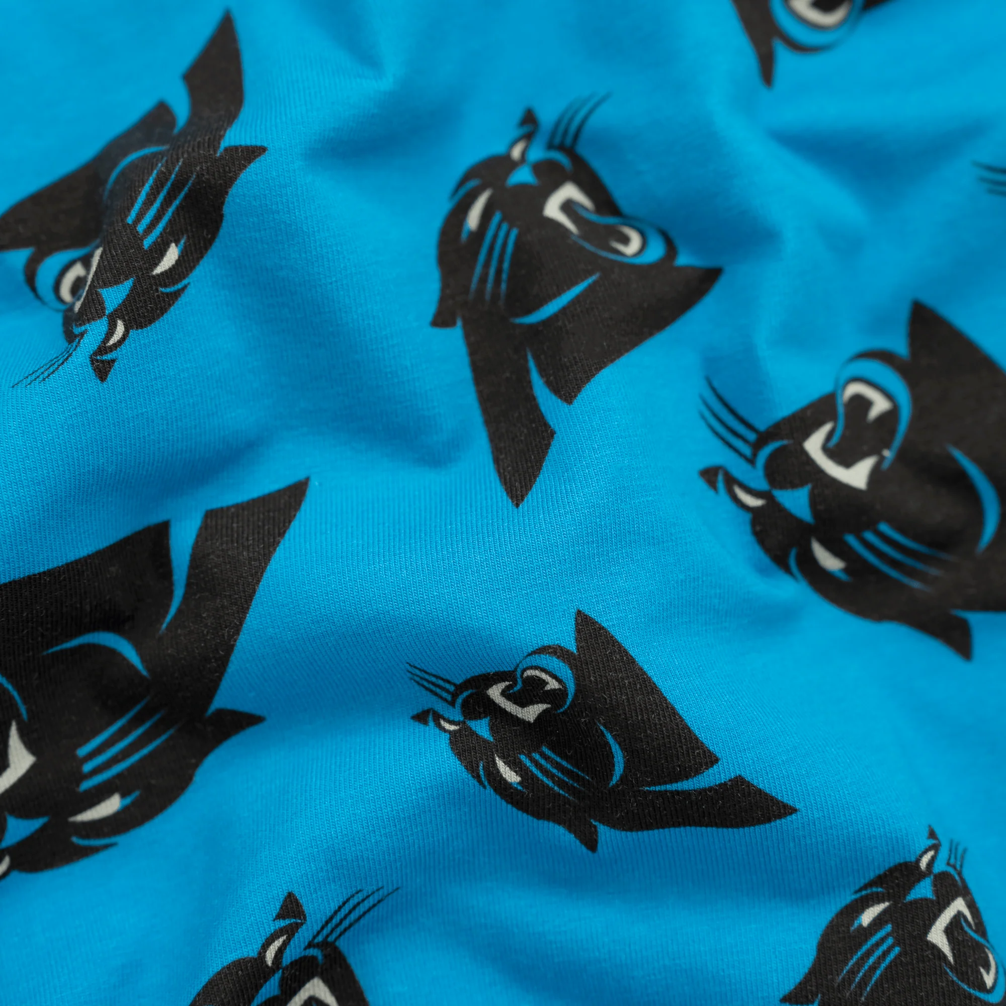 Carolina Panthers - Mens Boxer Shorts - Image 4