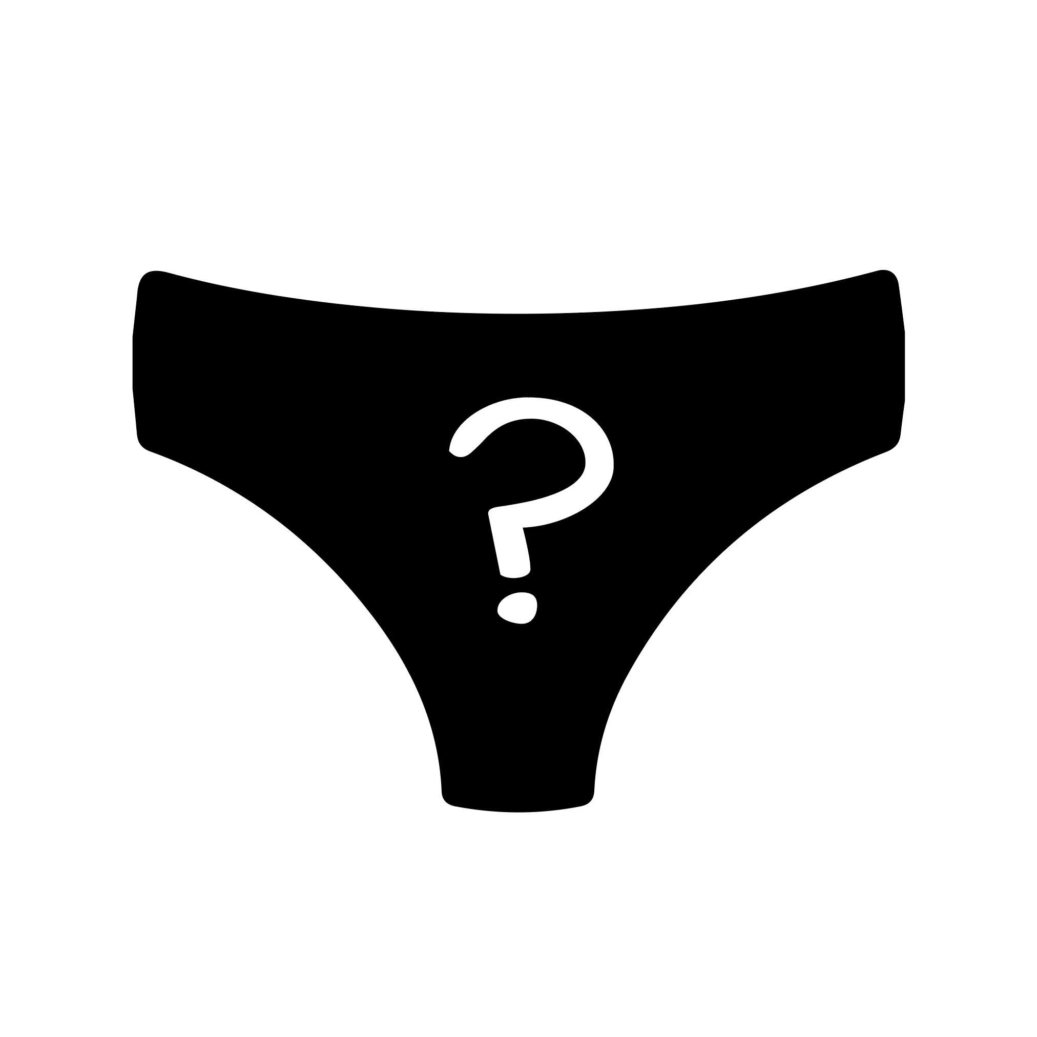 Women's Patterned Brief Knickers Subscription - Monthly (Free Socks + Free Delivery!) - Image 5