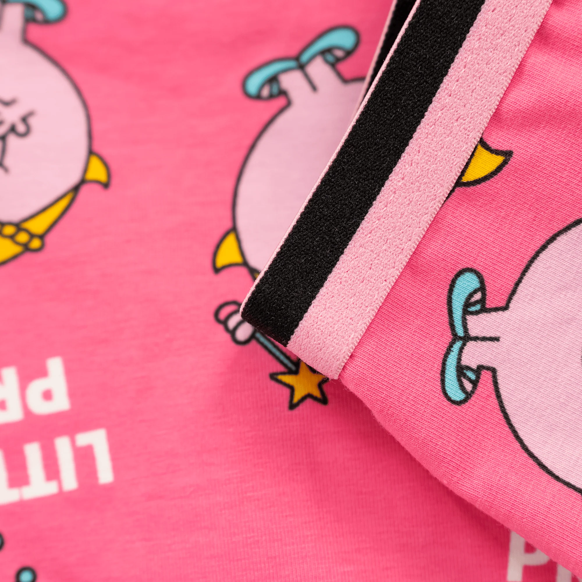 Little Miss Princess - Girls Knickers - Image 3