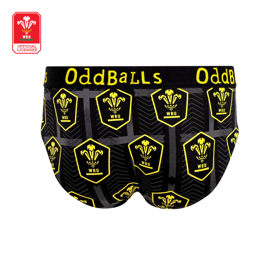 Welsh Rugby Union - Alternate - Mens Briefs - Image 2