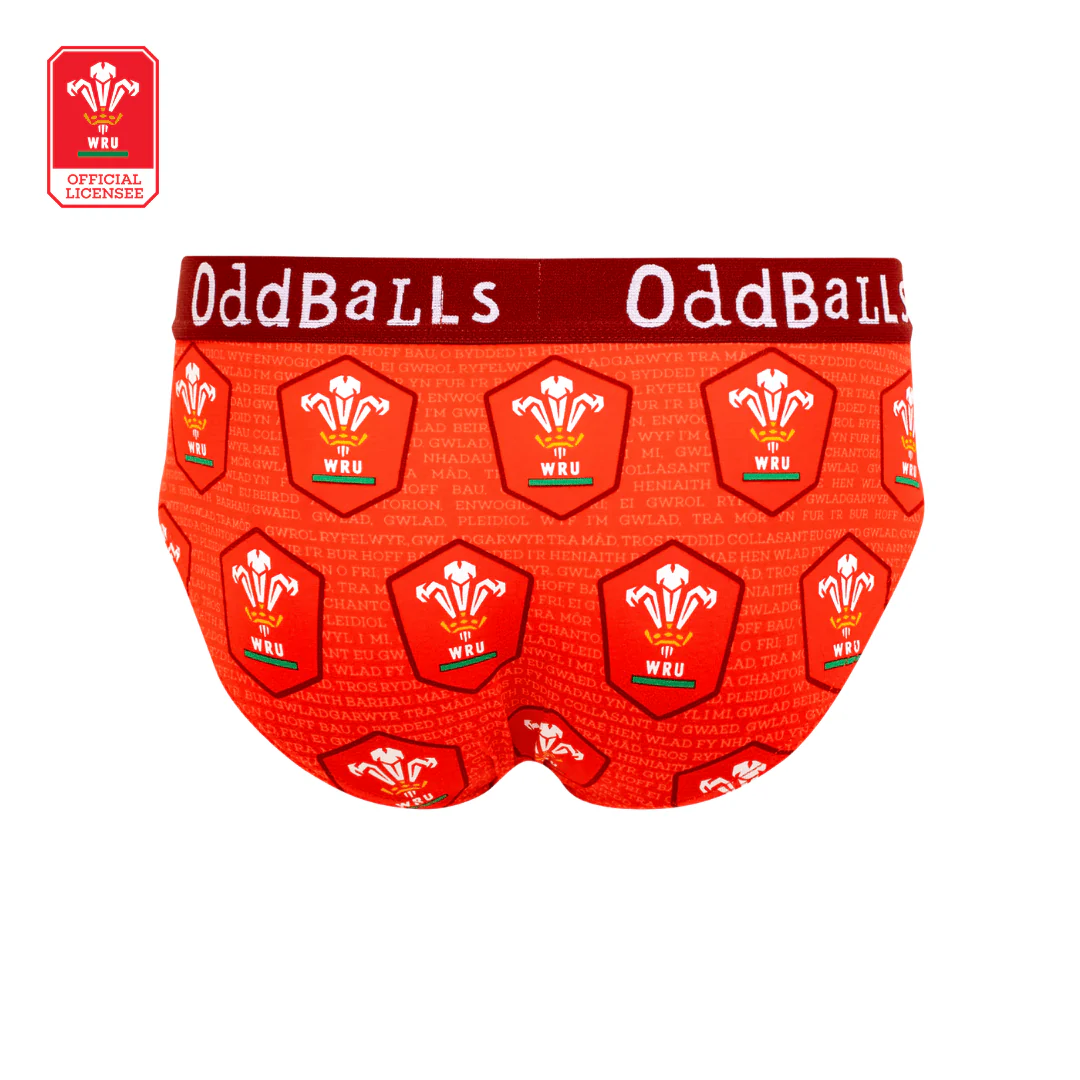Welsh Rugby Union - Home - Mens Briefs - Image 2