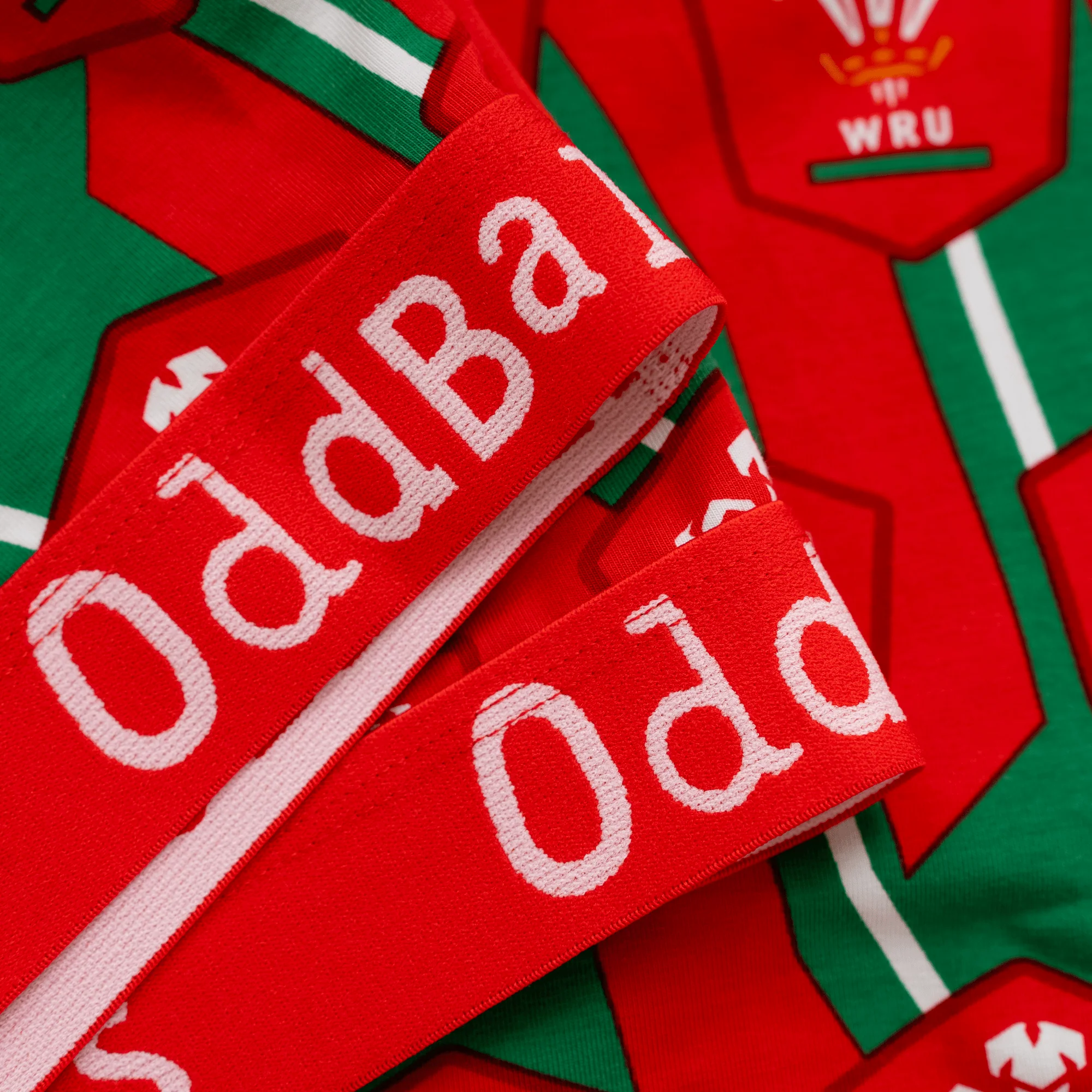 Welsh Rugby Union Alternate - Ladies Bralette - Image 3