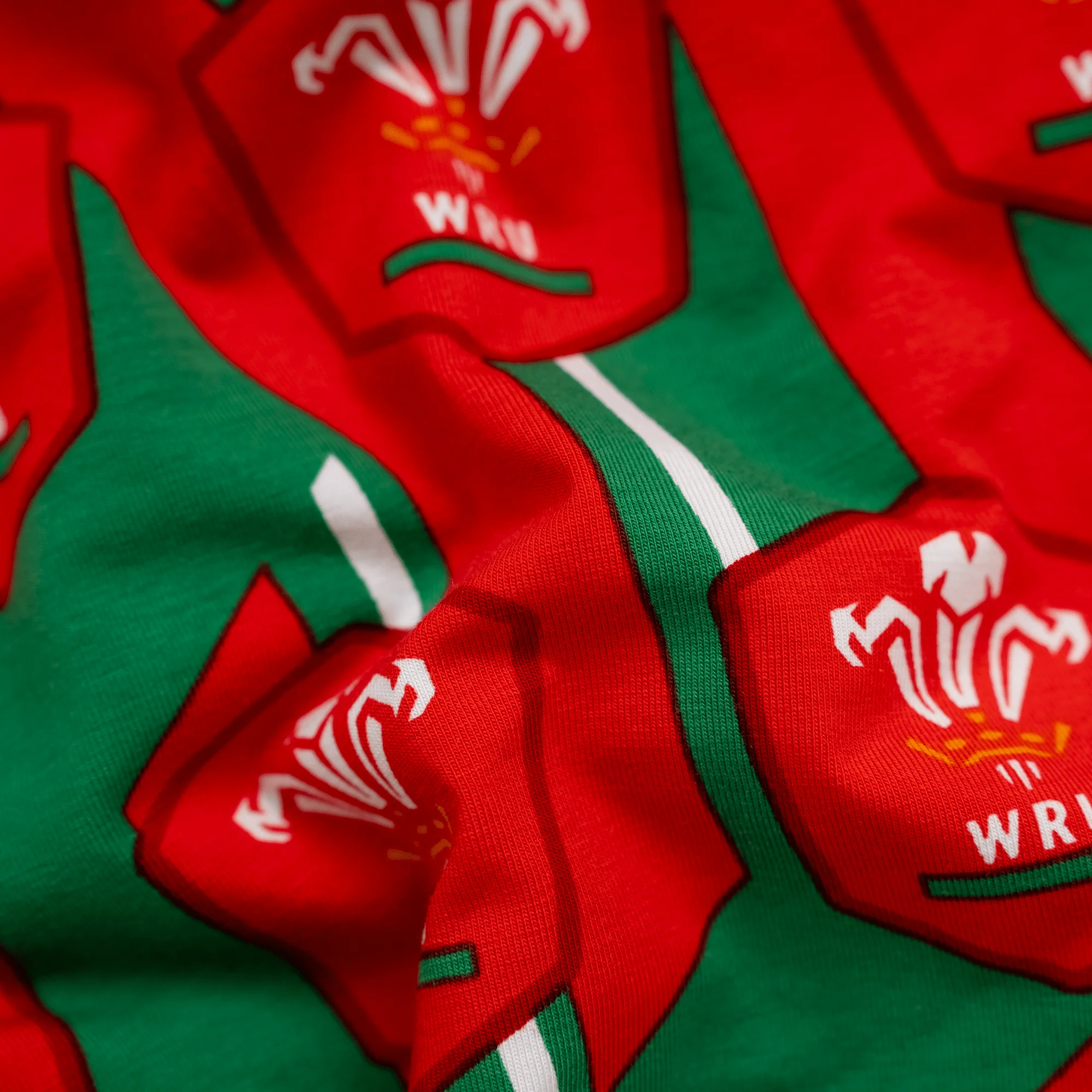 Welsh Rugby Union Alternate  - Ladies Briefs - Image 4