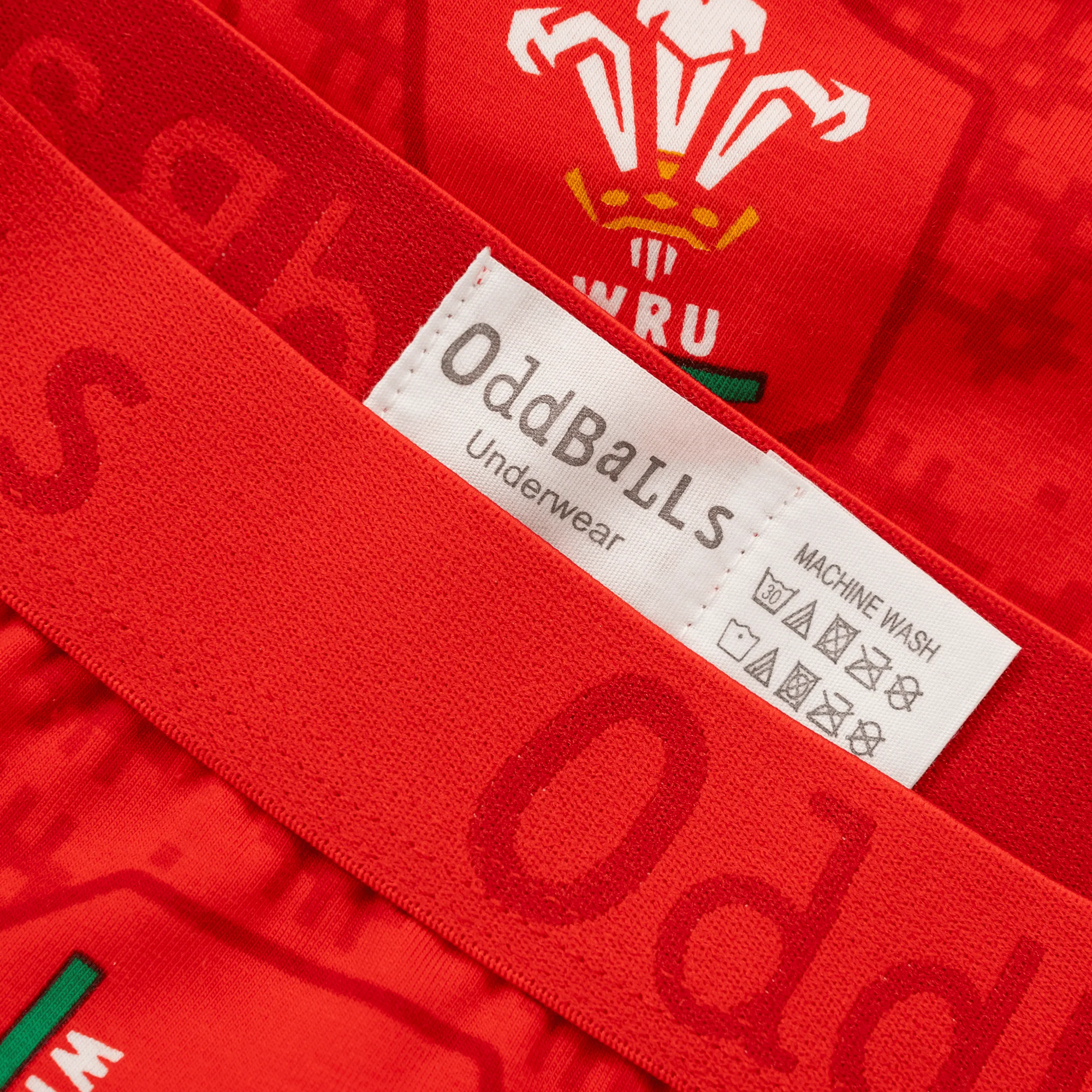 Welsh Rugby Union Home 25 - Ladies Boxers - Image 4